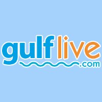 Gulflive image