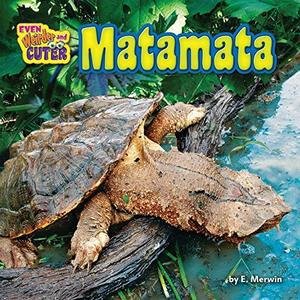 Matamata image