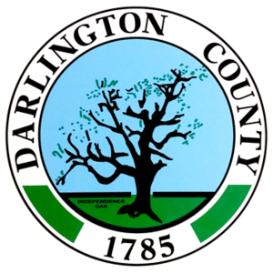 Darlington County image