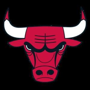 Bulls image