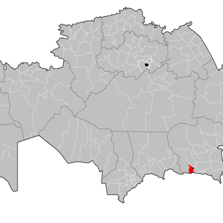 Karasay District image