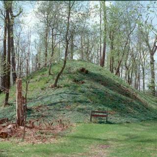 Grand Mound image