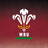 Welsh Rugby Union | Wales & Regions