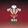 Welsh Rugby Union | Wales & Regions image