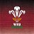 Welsh Rugby Union | Wales & Regions