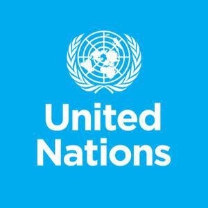 United Nations image