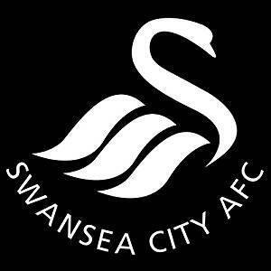  Swansea City AFC image