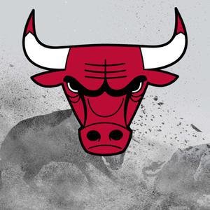 Bulls image