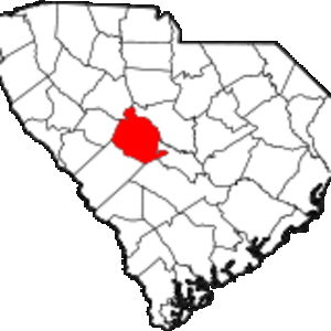 Lexington County image