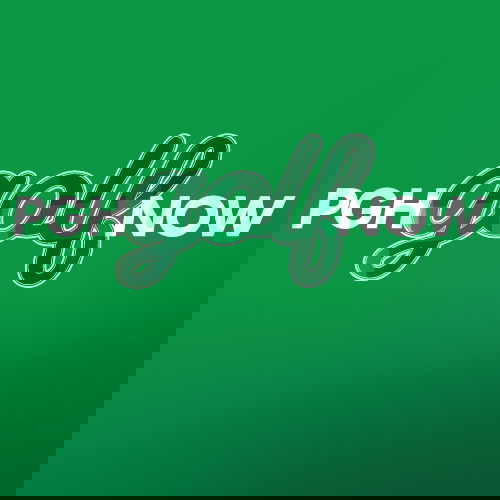 Pittsburgh Golf Now logo