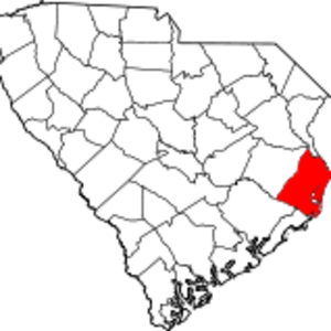 Georgetown County image