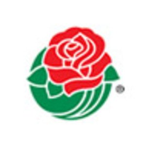 Tournament of Roses image