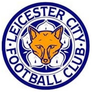 Leicester City FC image