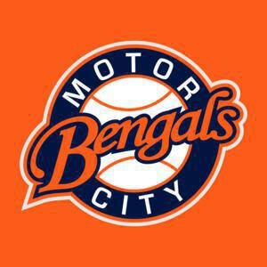 Motor City Bengals image
