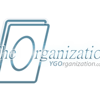 The Organization image