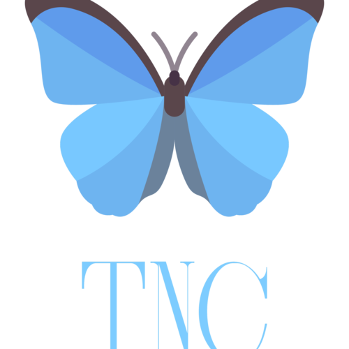 The New Conservative logo